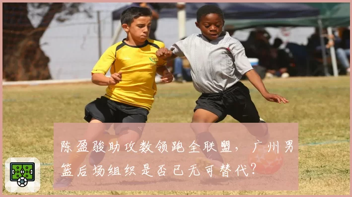 陈盈骏助攻数领跑全联盟，广州男篮后场组织是否已无可替代？