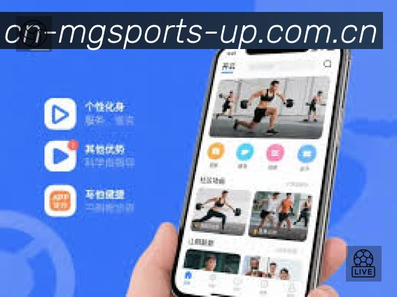 满冠体育